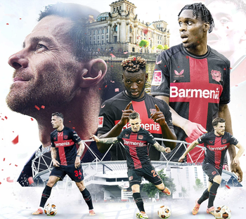 金刚app官方下载入口